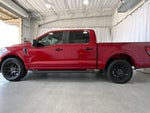 2024 F-150 Thumbnail 26