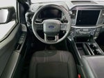 2025 F-150 Thumbnail 10