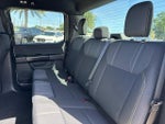 2025 F-150 Thumbnail 18