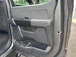 2025 F-150 Thumbnail 13