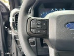 2025 F-150 Thumbnail 18