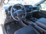 2025 F-150 Thumbnail 14