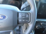 2025 F-150 Thumbnail 19