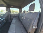 2024 F-150 Thumbnail 20