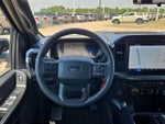2024 F-150 Thumbnail 21