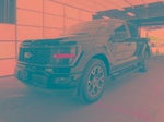 2025 F-150 Thumbnail 1