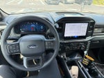 2025 F-150 Thumbnail 14