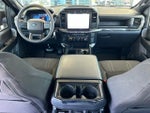 2024 F-150 Thumbnail 10