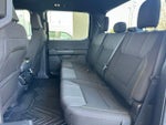 2024 F-150 Thumbnail 14