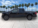 2024 F-150 Thumbnail 4