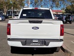 2024 F-150 Thumbnail 6