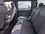 2025 F-150 Thumbnail 13