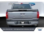 2025 F-150 Thumbnail 4