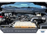 2025 F-150 Thumbnail 8