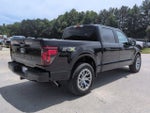 2025 F-150 Thumbnail 4