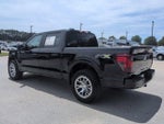 2025 F-150 Thumbnail 7