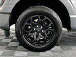 2025 F-150 Thumbnail 8