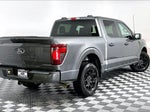 2025 F-150 Thumbnail 12