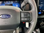 2025 F-150 Thumbnail 19