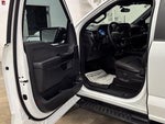 2024 F-150 Thumbnail 21