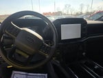 2025 F-150 Thumbnail 11
