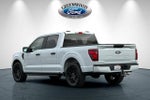 2025 F-150 Thumbnail 6
