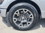 2024 F-150 Thumbnail 10