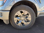 2025 F-150 Thumbnail 14
