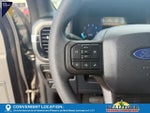 2026 F-150 Thumbnail 29