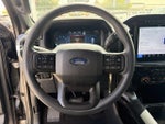 2024 F-150 Thumbnail 9