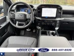2024 F-150 Thumbnail 12