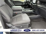 2024 F-150 Thumbnail 17