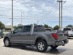 2024 F-150 Thumbnail 7