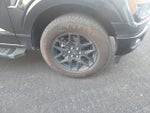 2024 F-150 Thumbnail 22