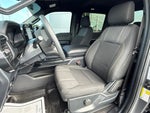 2024 F-150 Thumbnail 9