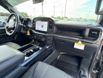 2024 F-150 Thumbnail 10