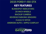 2025 F-150 Thumbnail 13