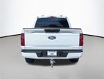 2025 F-150 Thumbnail 4