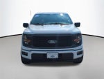 2025 F-150 Thumbnail 8