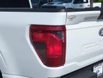 2025 F-150 Thumbnail 12