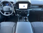 2026 F-150 Thumbnail 14