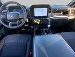 2024 F-150 Thumbnail 15