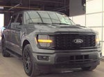 2025 F-150 Thumbnail 1