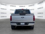 2025 F-150 Thumbnail 6