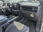 2025 F-150 Thumbnail 18