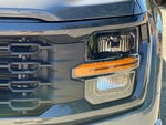 2025 F-150 Thumbnail 46
