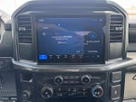 2025 F-150 Thumbnail 13
