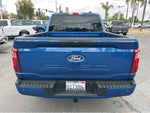 2025 F-150 Thumbnail 5