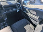 2025 F-150 Thumbnail 19