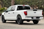 2025 F-150 Thumbnail 5
